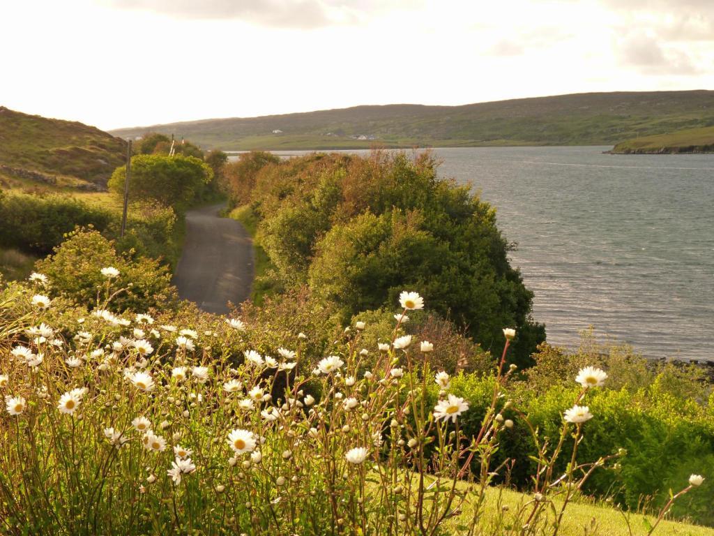 Waterfront Rest B&B Clifden Exterior photo